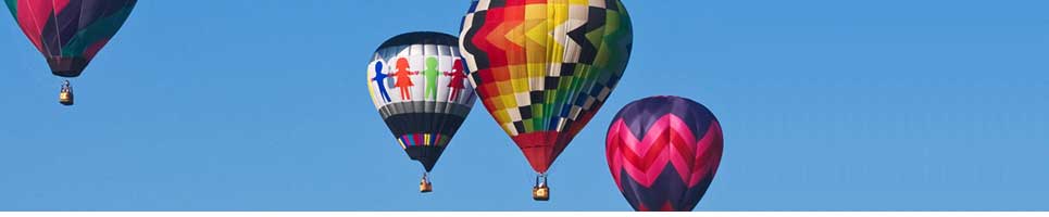 live173小黑蚊s383